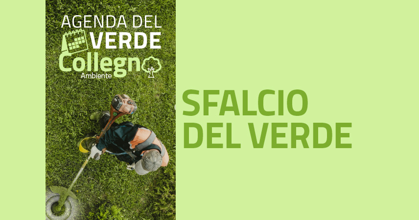Immagine di sfalcio verde 2025