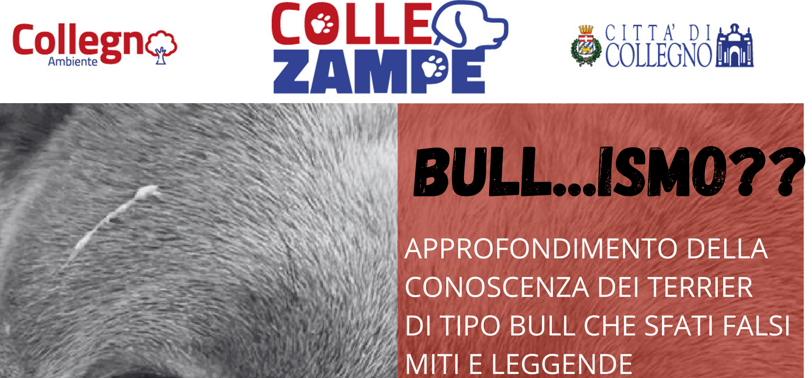 Immagine di Bullismo cop
