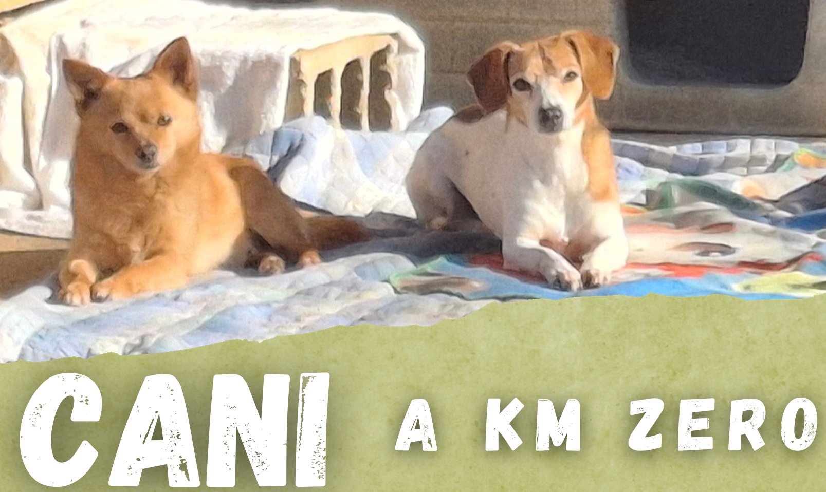 Cani_a_Km_zero cop Immagine di Cani_a_Km_zero cop