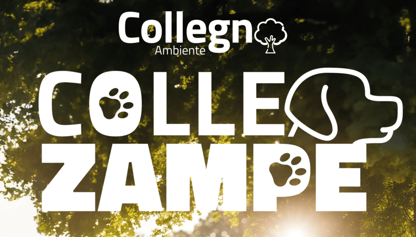 Collezampe 856×488 Immagine di Collezampe 856×488