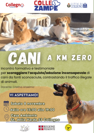 Locandina dell'evento